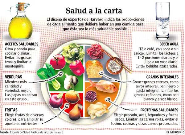 Plato saludable de Harvard (Infografía)