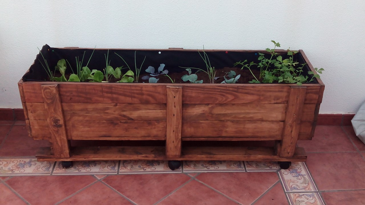 Huerto urbano con palet